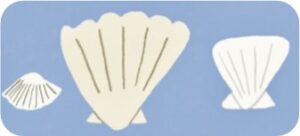 Seashell image for Adult Grab Bag